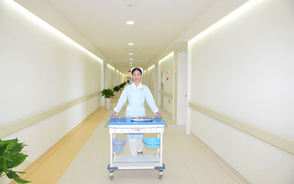 医加依